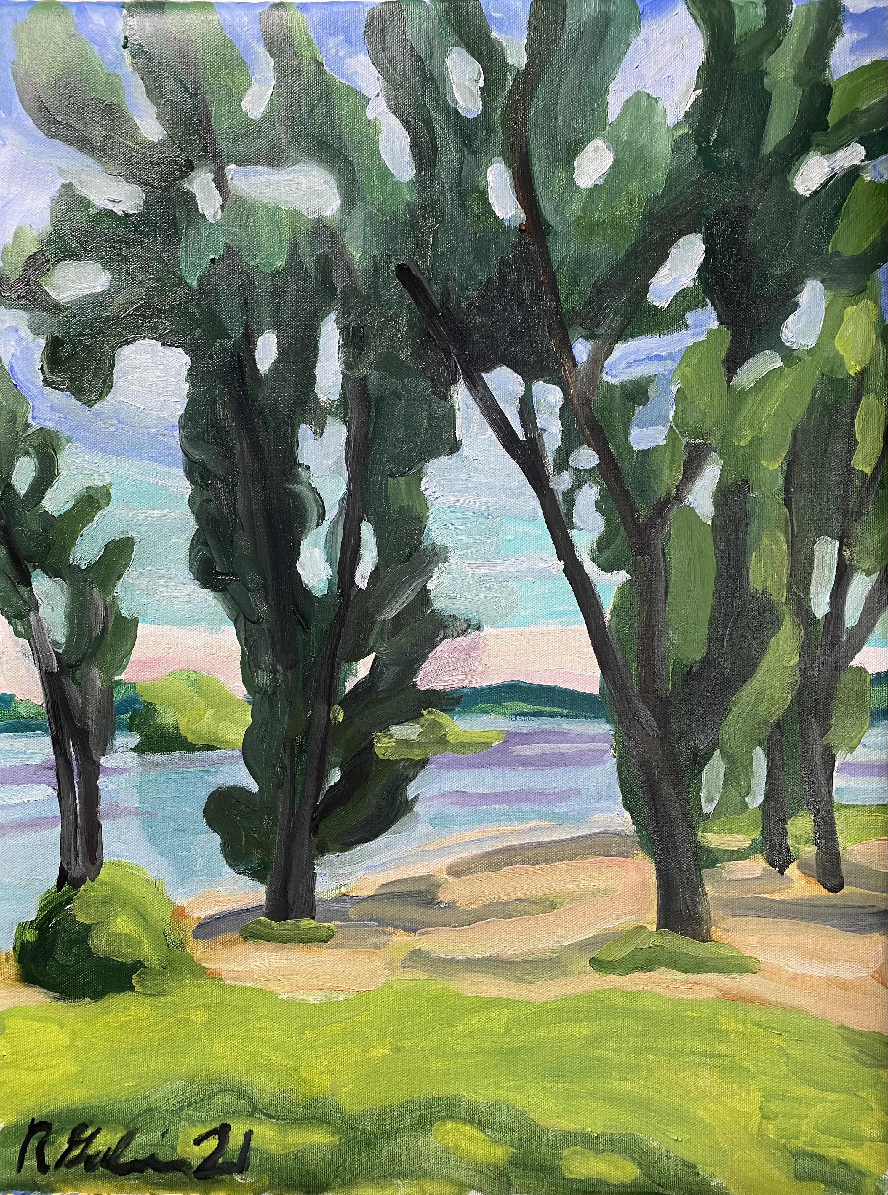 A picture of Scout Island from Murphy's Beach